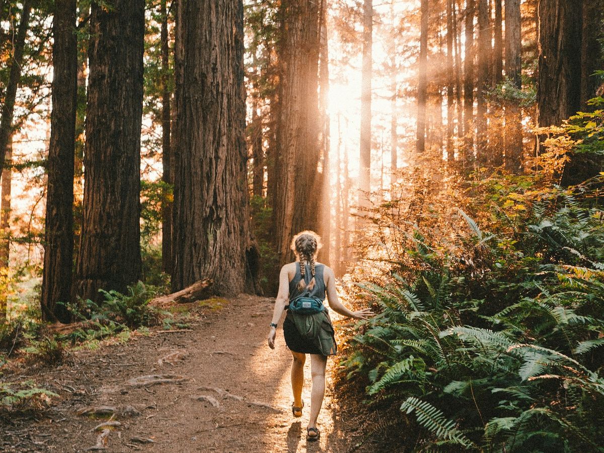 Marche dans la nature