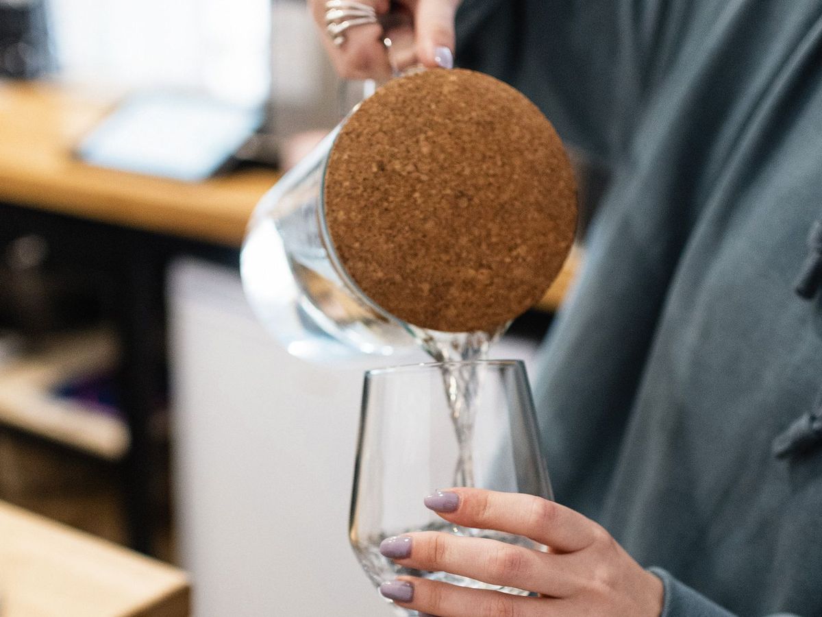 Rinçage à la plante, verre et carafe