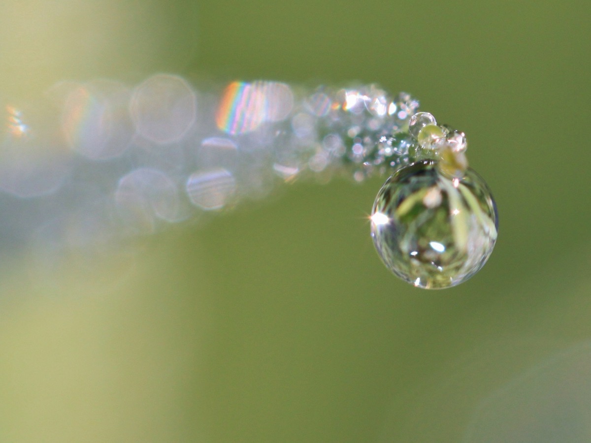 Gros plan sur une goutte d'eau transparente suspendue, sur un fond vert doux